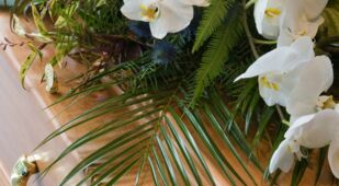 Friedrich Neuhaus Bestattungen - seit 1894