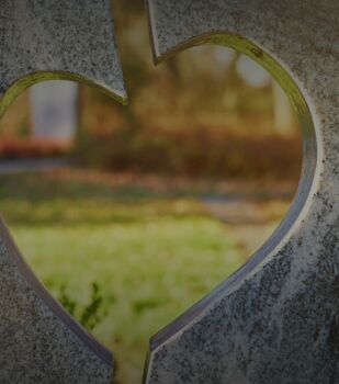 Wahlgrab, Reihengrab, Sargrasengrab, Parkwahlgrab