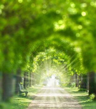 Friedrich Neuhaus Bestattungen - seit 1894