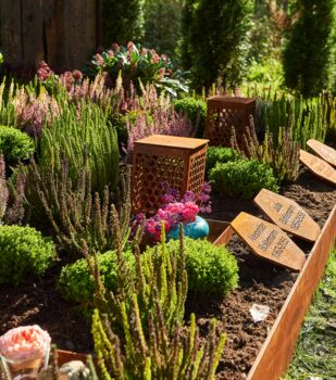 B I E N E N H A I N - eine besondere Gemeinschaftsgrabanlage