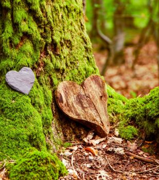 Friedrich Neuhaus Bestattungen - seit 1894